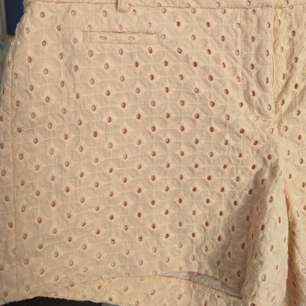 Ann Taylor LOFT Light Pink Textured Shorts Size 8 - Picture 3 of 8